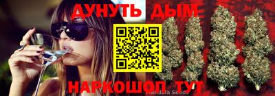 стаф Бузулук