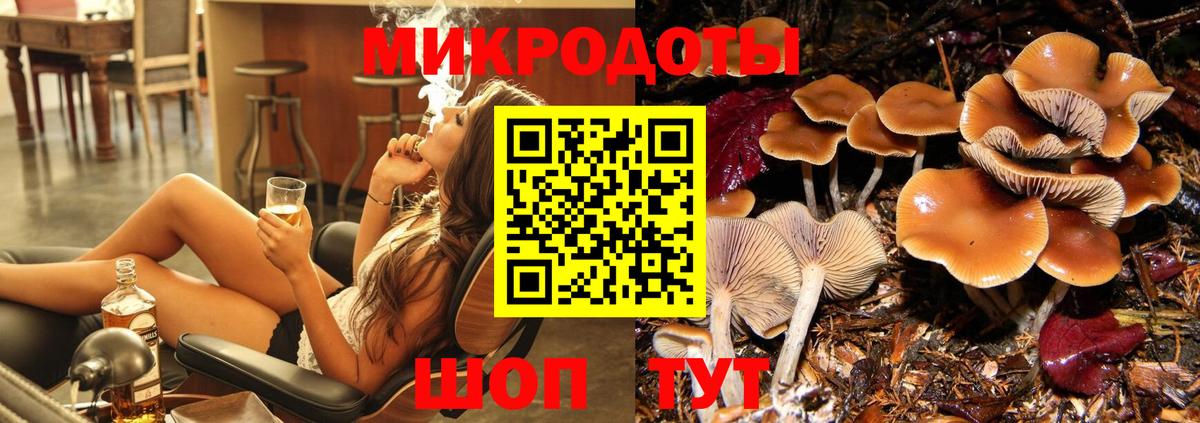 Псилоцибиновые грибы мухоморы  Псилоцибиновые грибы Psilocybe  цена   Новоуральск  Вход с VPN 